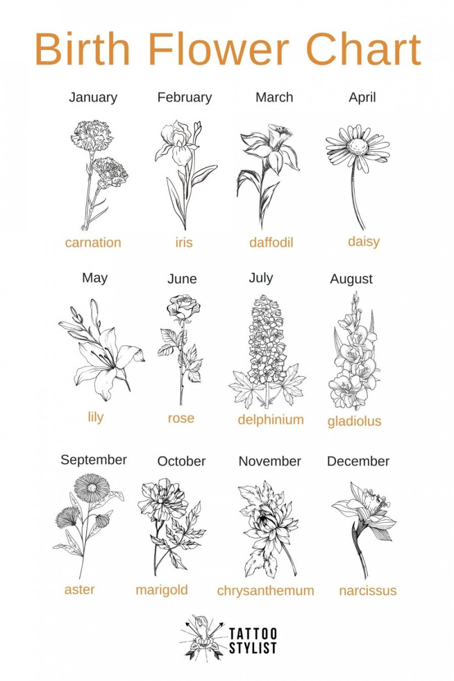 Birth Flower Chart infographic  Birth flower tattoos, Birth