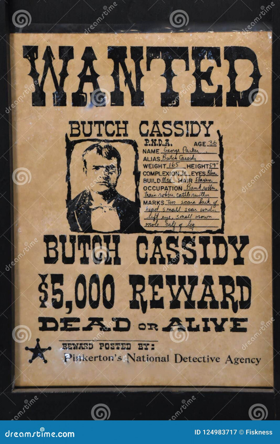 Cassidy wanted poster editorial photography