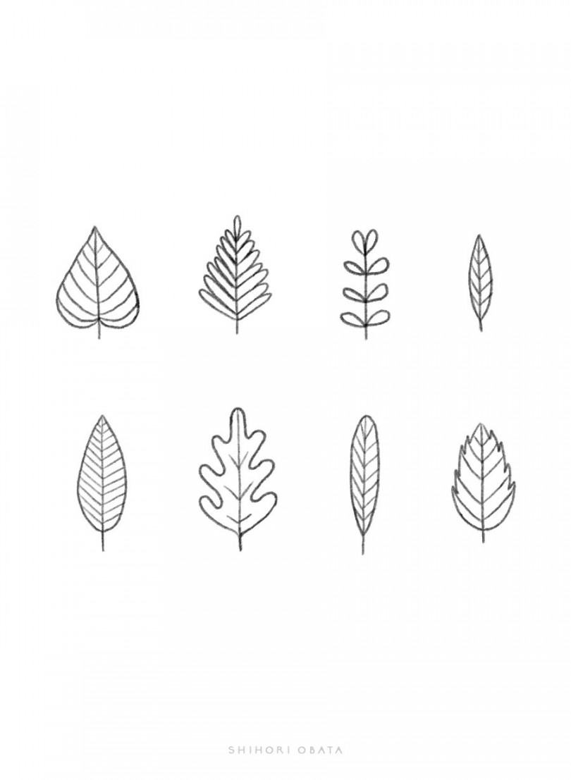 Easy Ways to Draw Plants & Leaves  Plant drawing, Plant