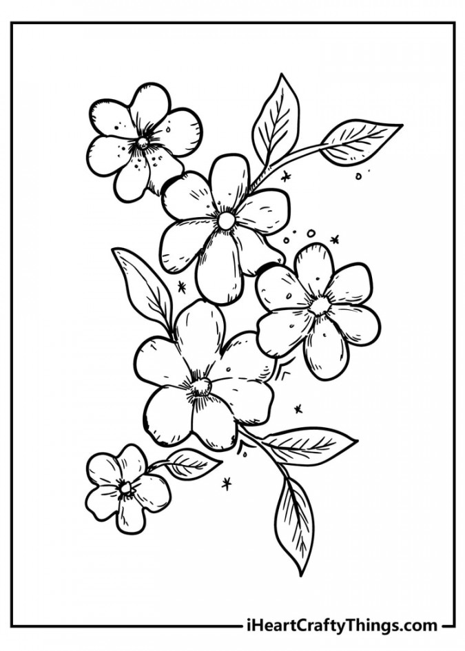 Flower Coloring Pages (% Free Printables)