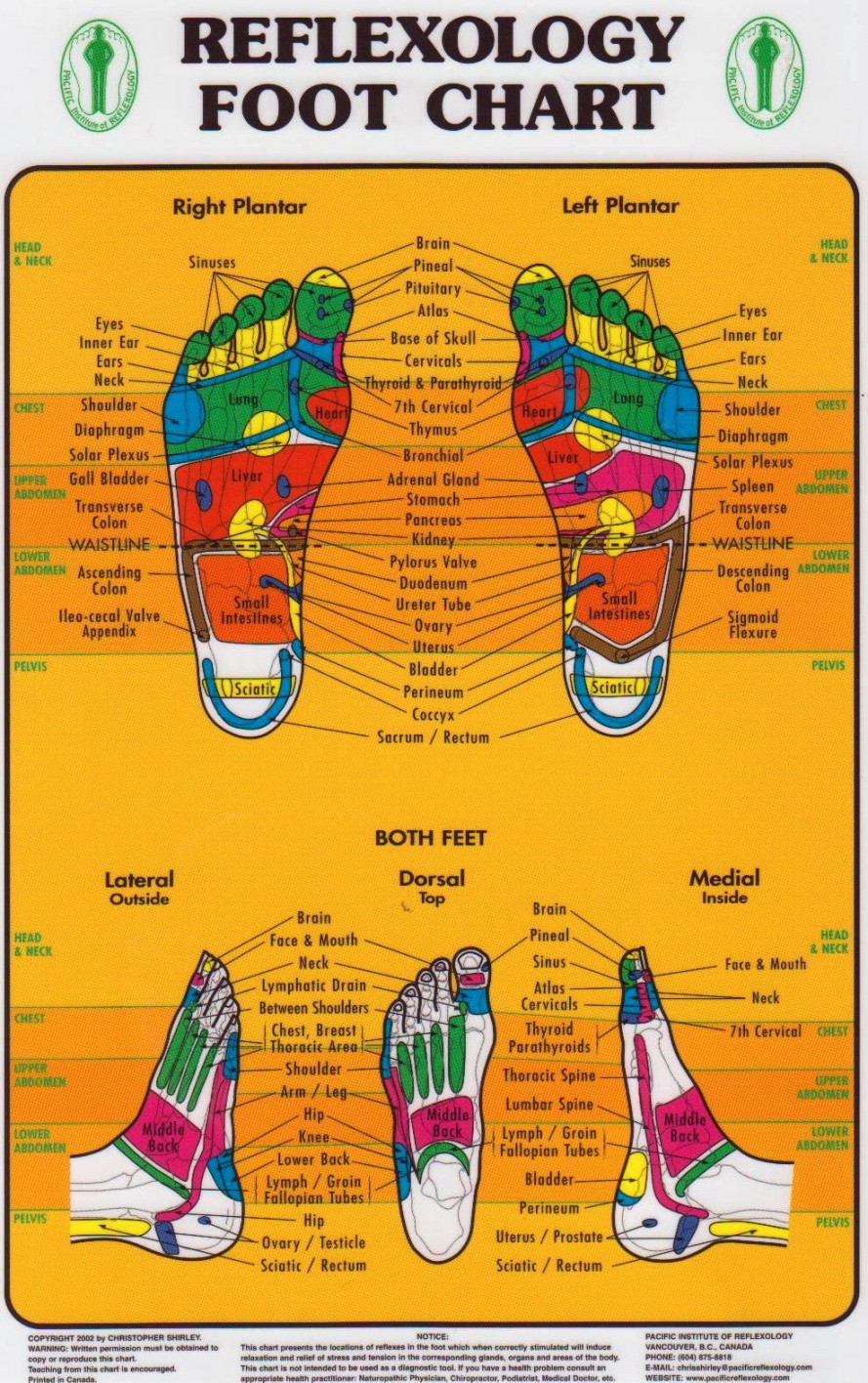 Foot Reflexology Chart (Pacific Institute) — Massage Therapy