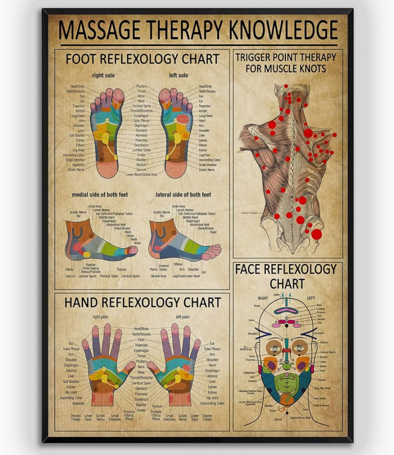 Massage Therapy Knowledge Foot Reflexology Chart Trigger Point Therapy Wall  Art Hanging Painting Paper Photography Watercolor Living Room Bedroom Home