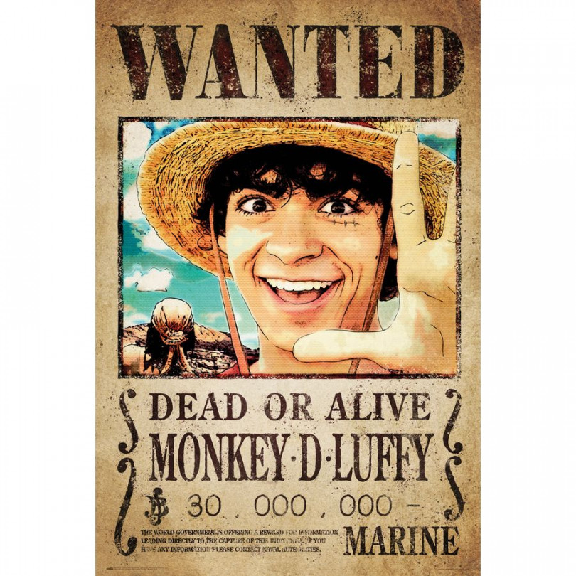 One Piece Poster Wanted Monkey