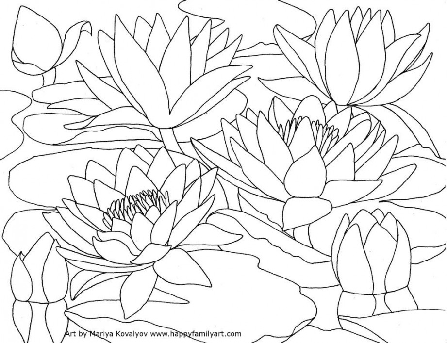 WaterLilies - Happy Family Art  Coloring pictures, Flower