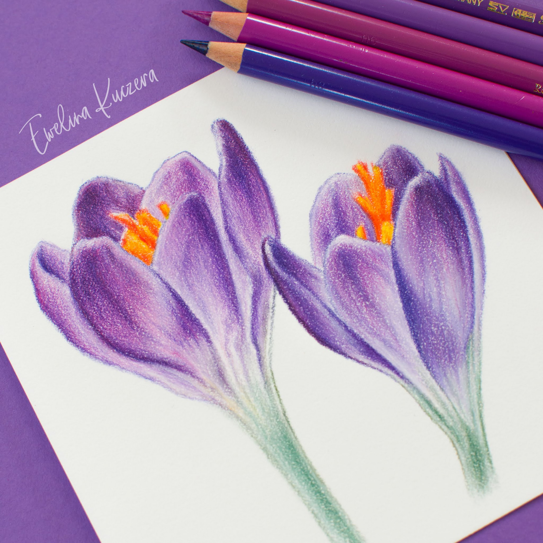 Artistic Blog - learn how to draw with colored pencils: How to