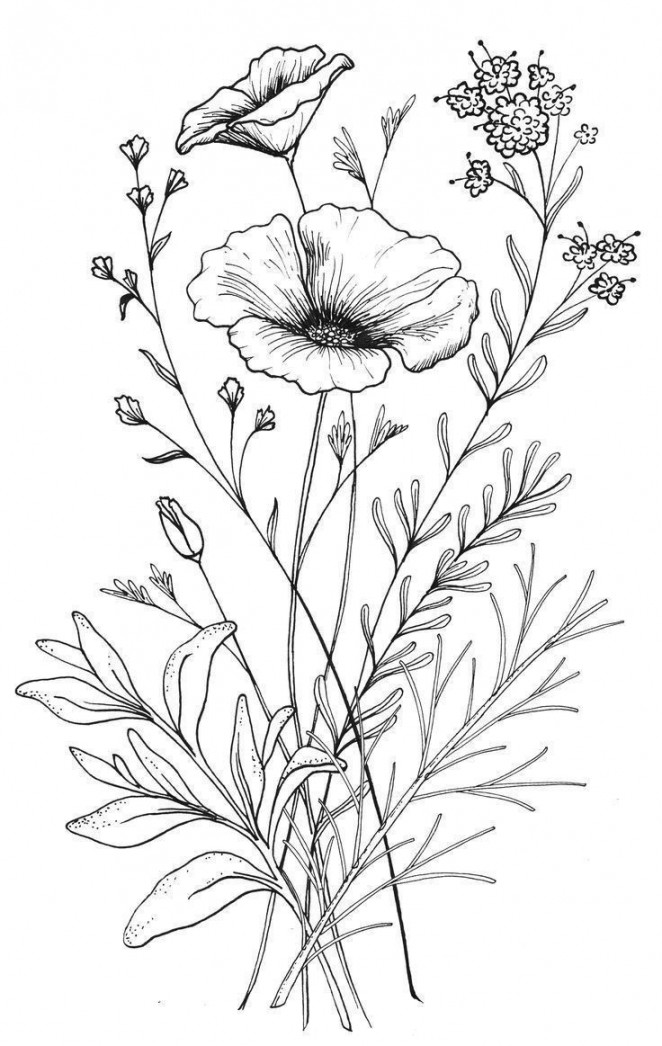 Beautiful Flower Drawing Information & Ideas  Beautiful flower