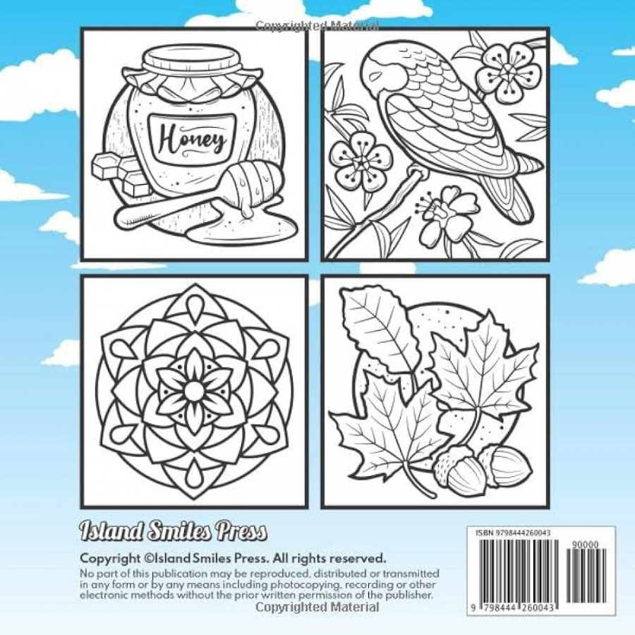 Bold and Easy Large Print Coloring Book:  Big and Simple Designs for  Adults, Seniors and Beginners