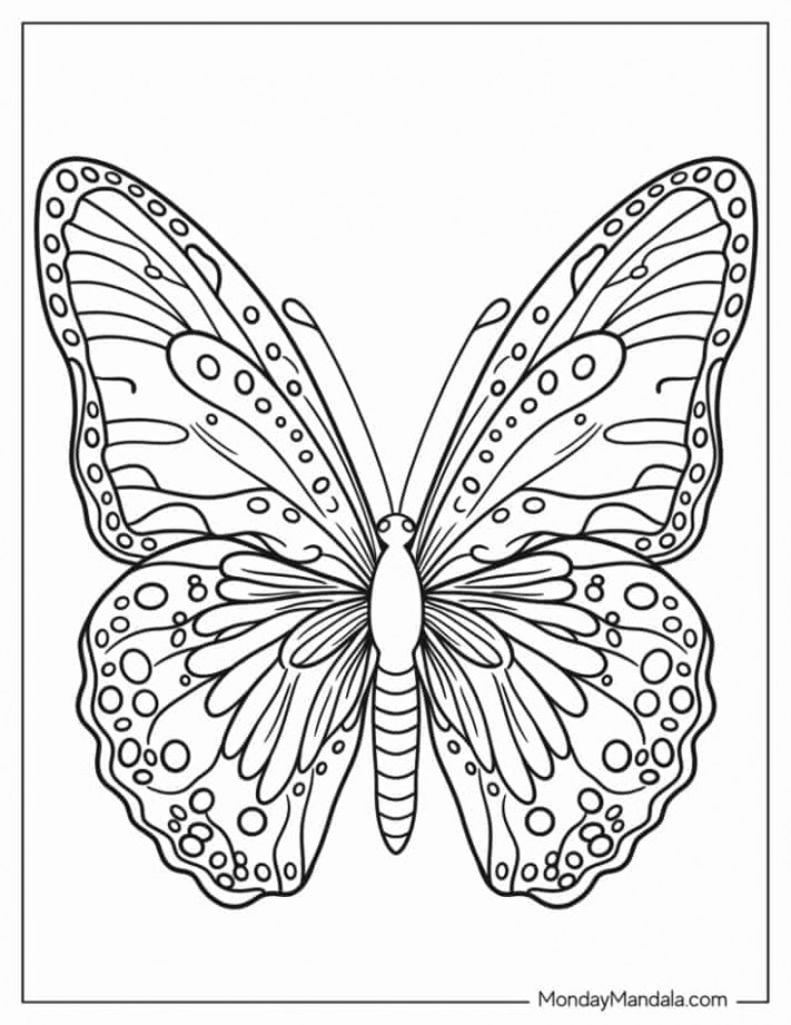 Butterfly Coloring Pages (Free PDF Printables)