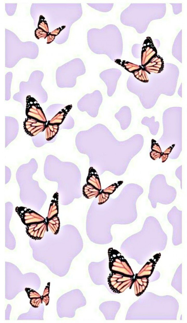 Butterflys and cow print  Cow print wallpaper, Butterfly