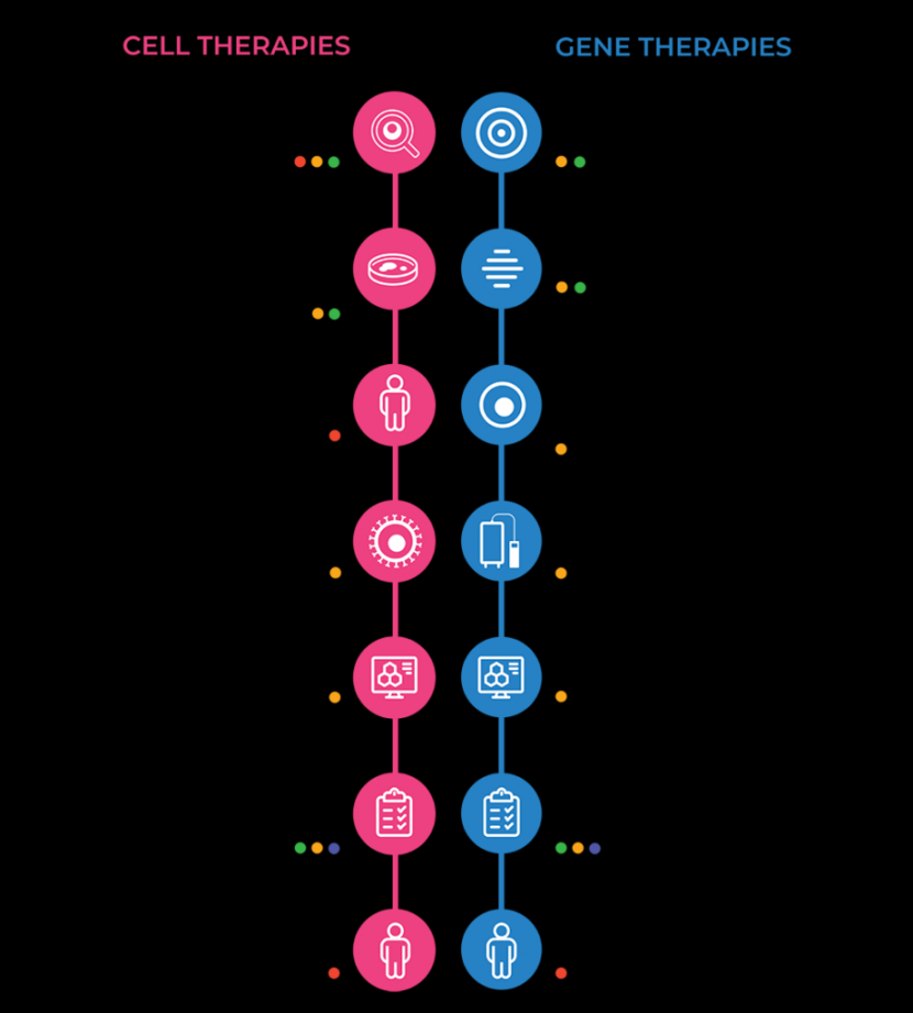 Cell & Gene Therapy Infographic  CG Life  Life Science and