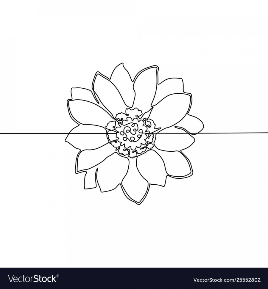 Continuous one line drawing flower Royalty Free Vector Image