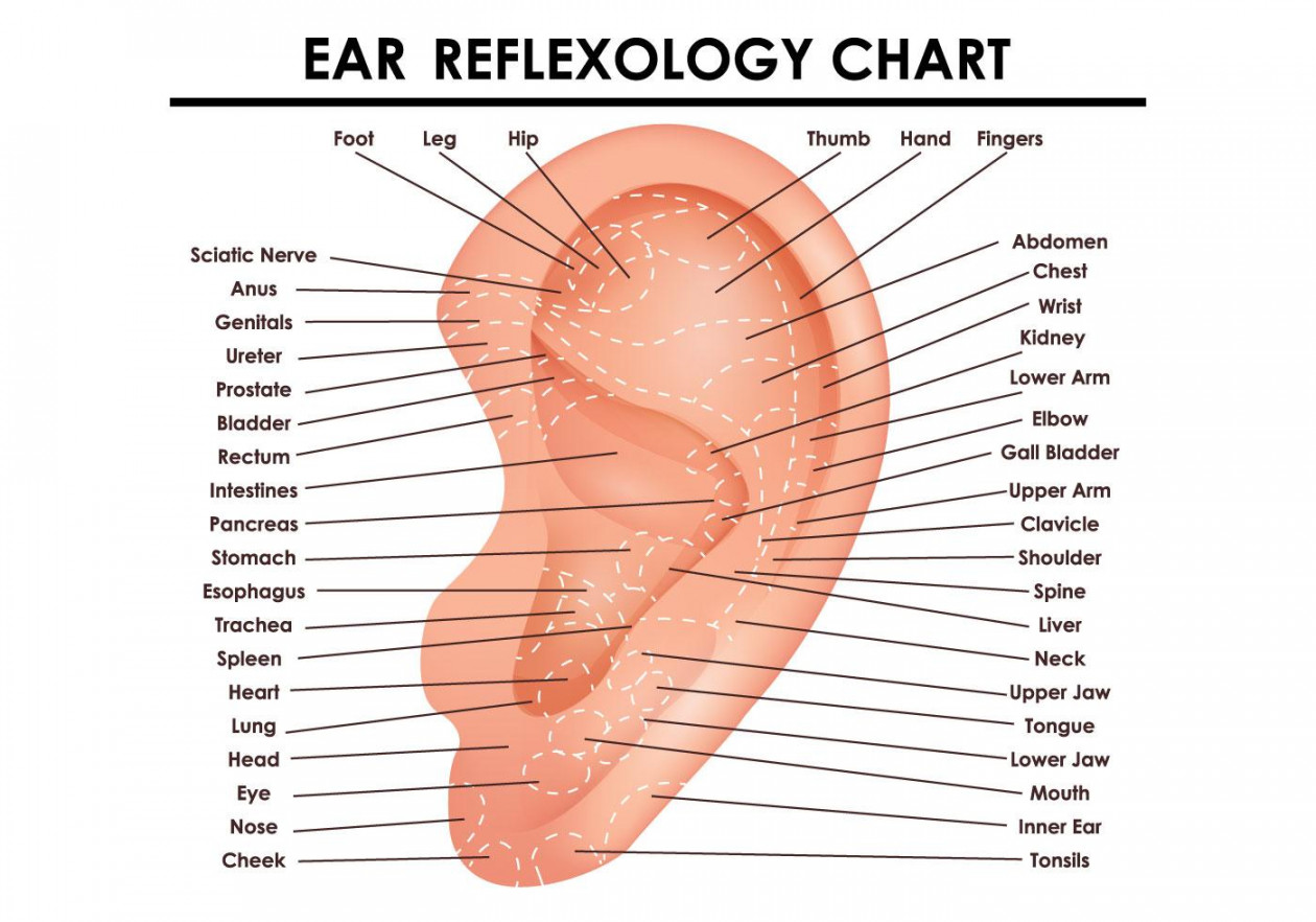 Ear Reflexology  Benefits of Pressing Ear Reflex Points