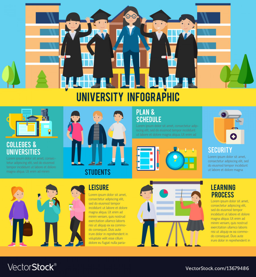 Education infographic template Royalty Free Vector Image