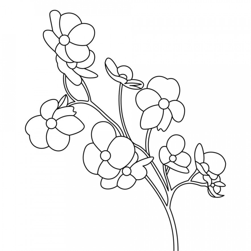 flower coloring page for book with line art design of black and