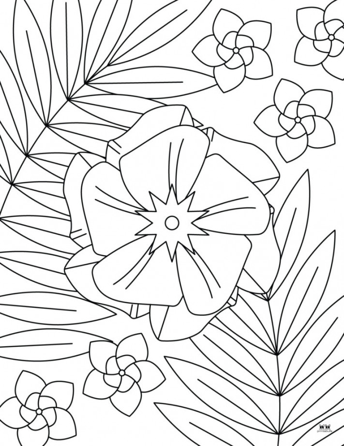 Flower Coloring Pages -  FREE Printable Pages  Printabulls