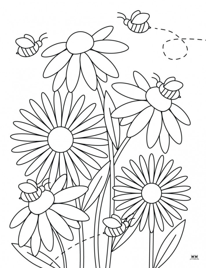 Flower Coloring Pages -  FREE Printable Pages  Printabulls