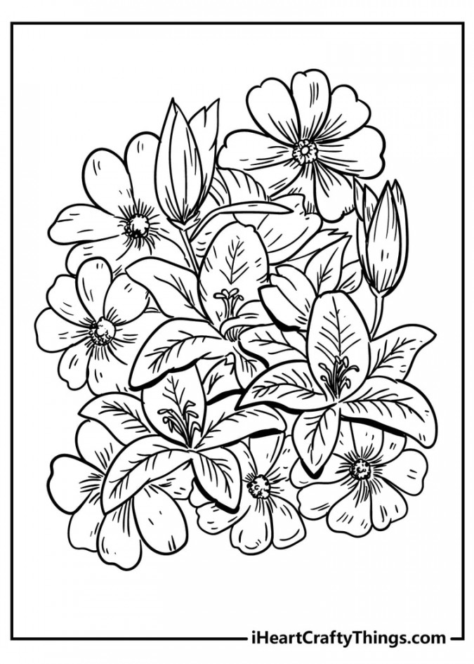 Flower Coloring Pages (% Free Printables)