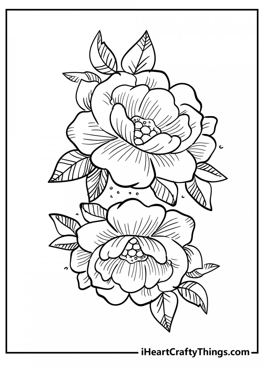 Flower Coloring Pages (% Free Printables)