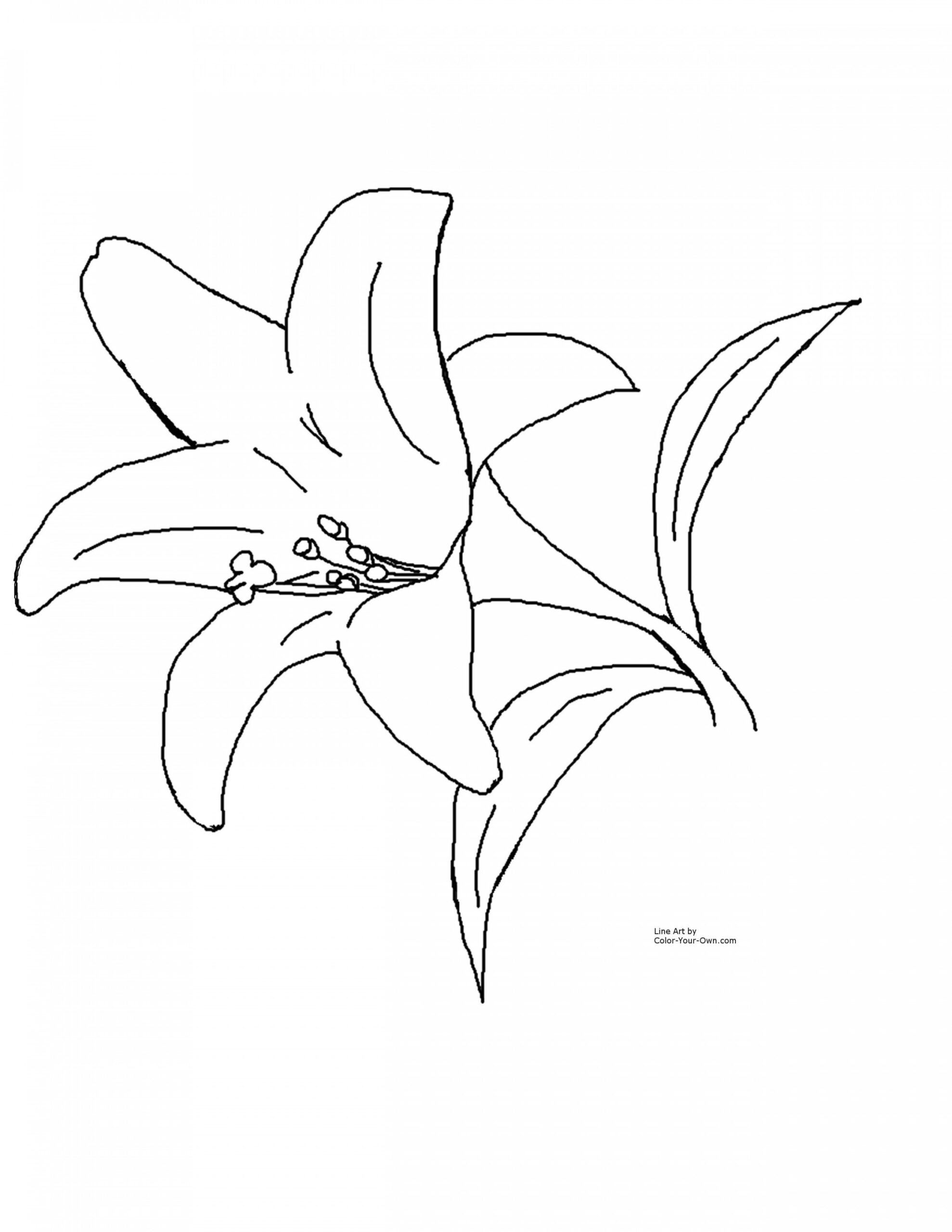 Flower Coloring Pages Printable Free  Coloring Pages  Easter