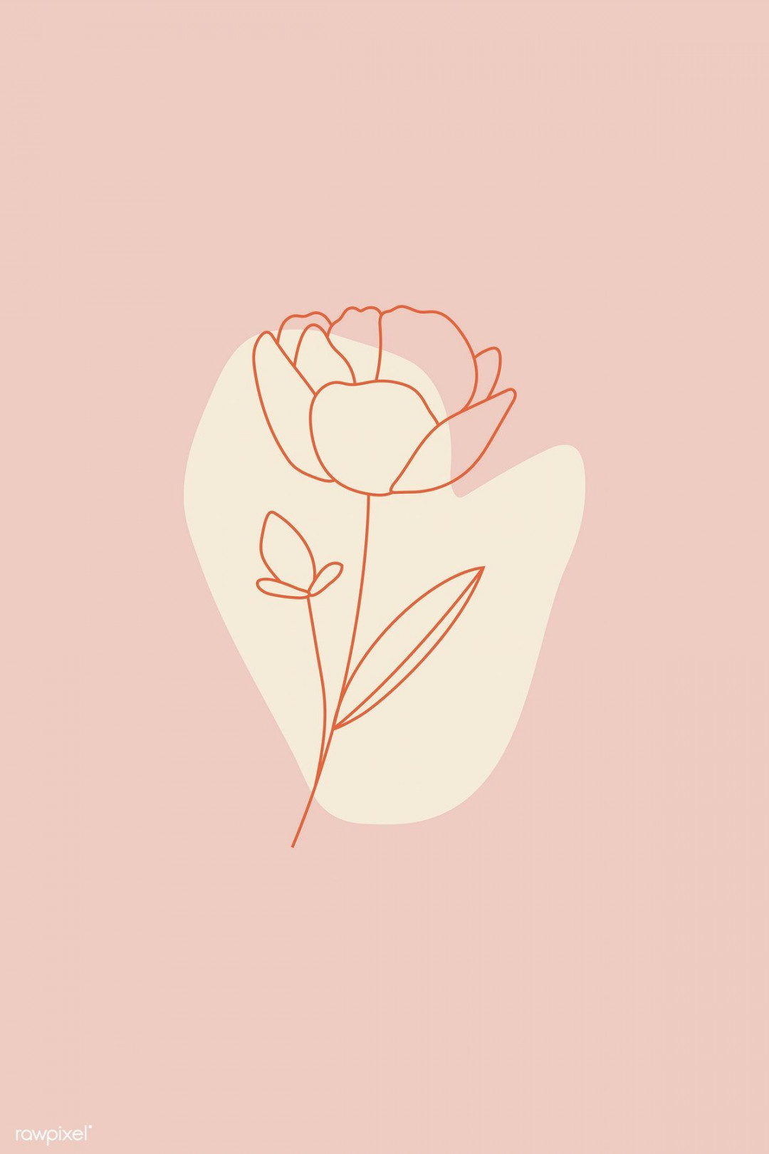 Flower line art on pink background vector  premium image by