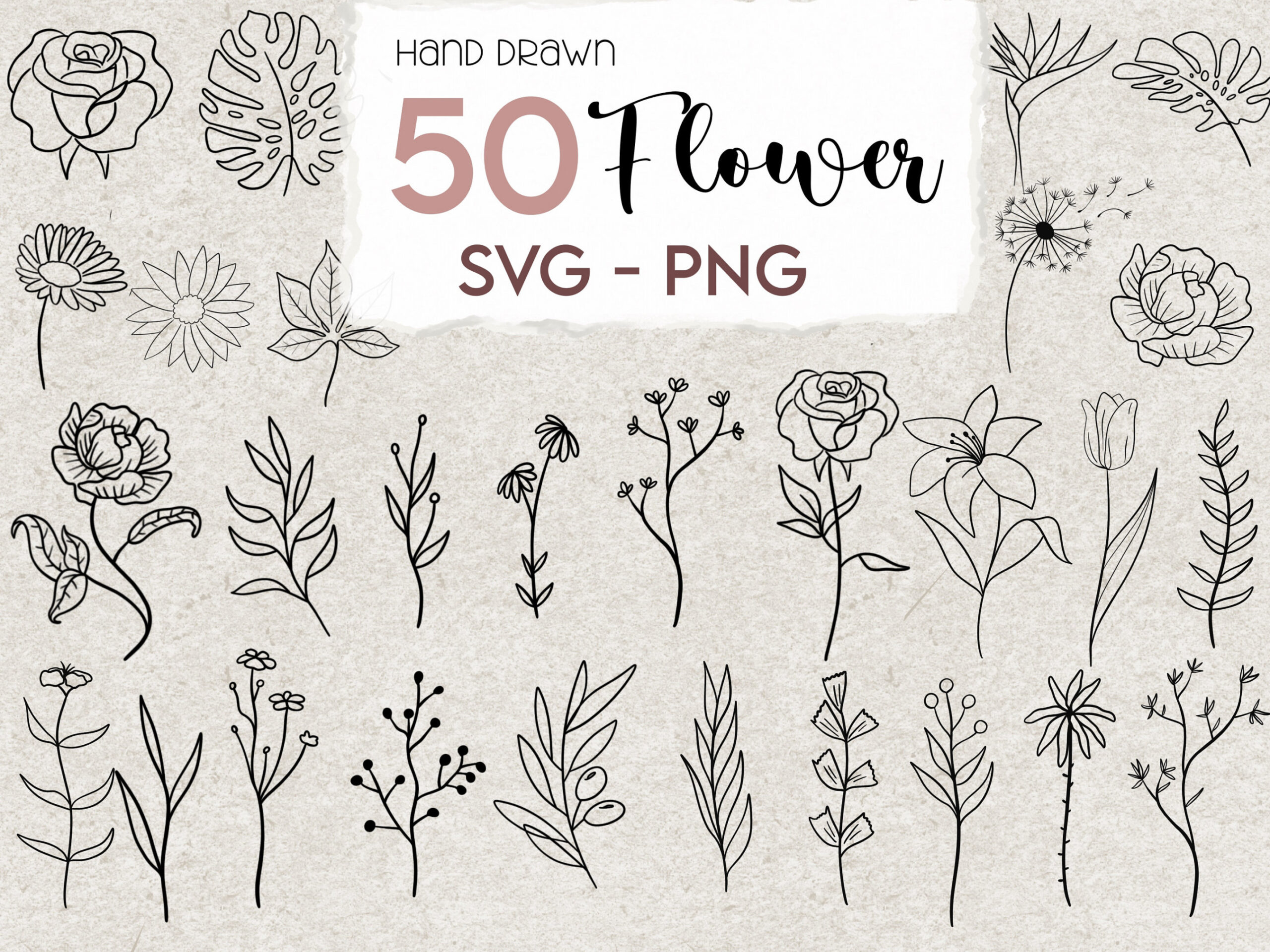 Flower SVG PNG  Flower Clipart Bundle Leaf Floral Leaves - Etsy