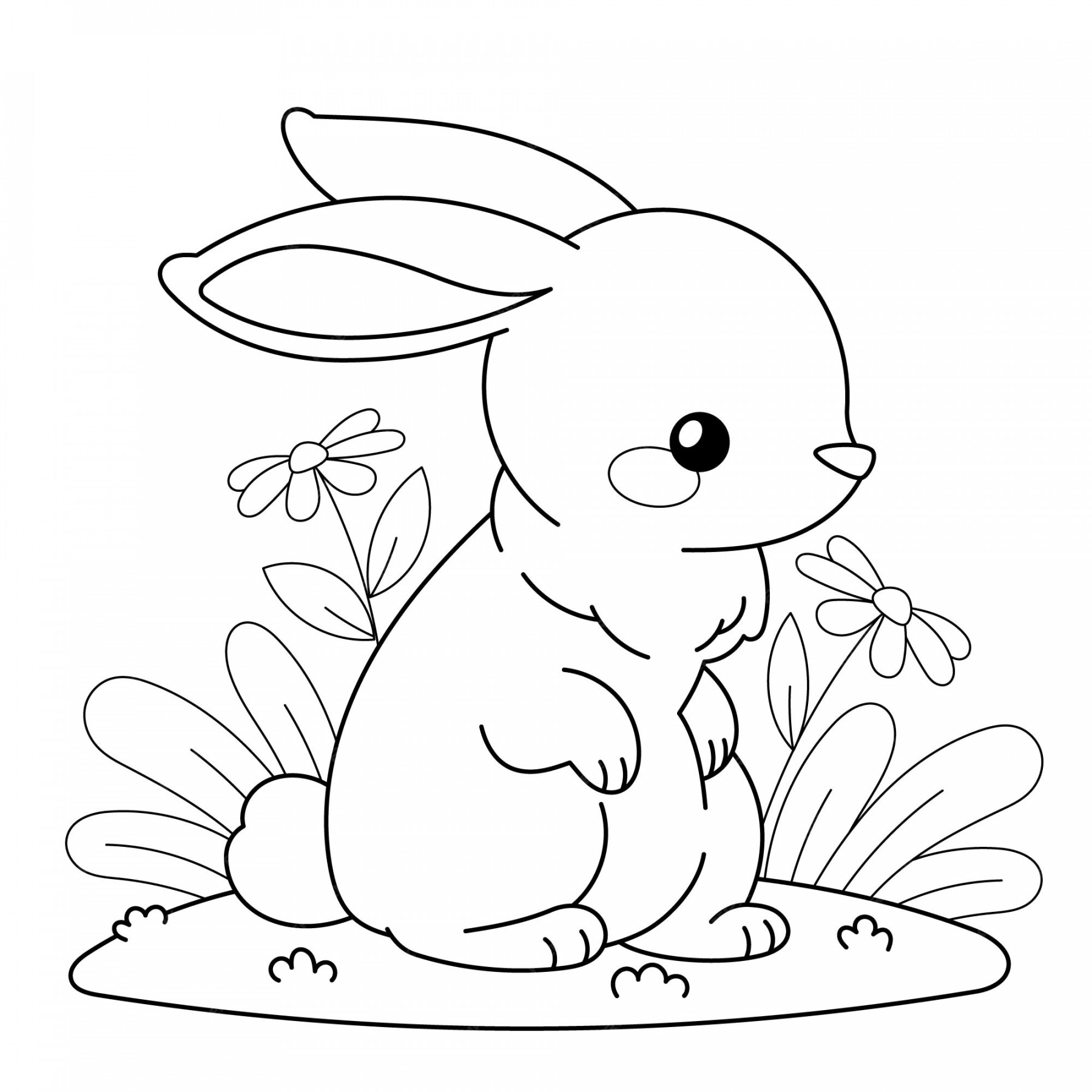 Free Vector  Bunny coloring book illustration