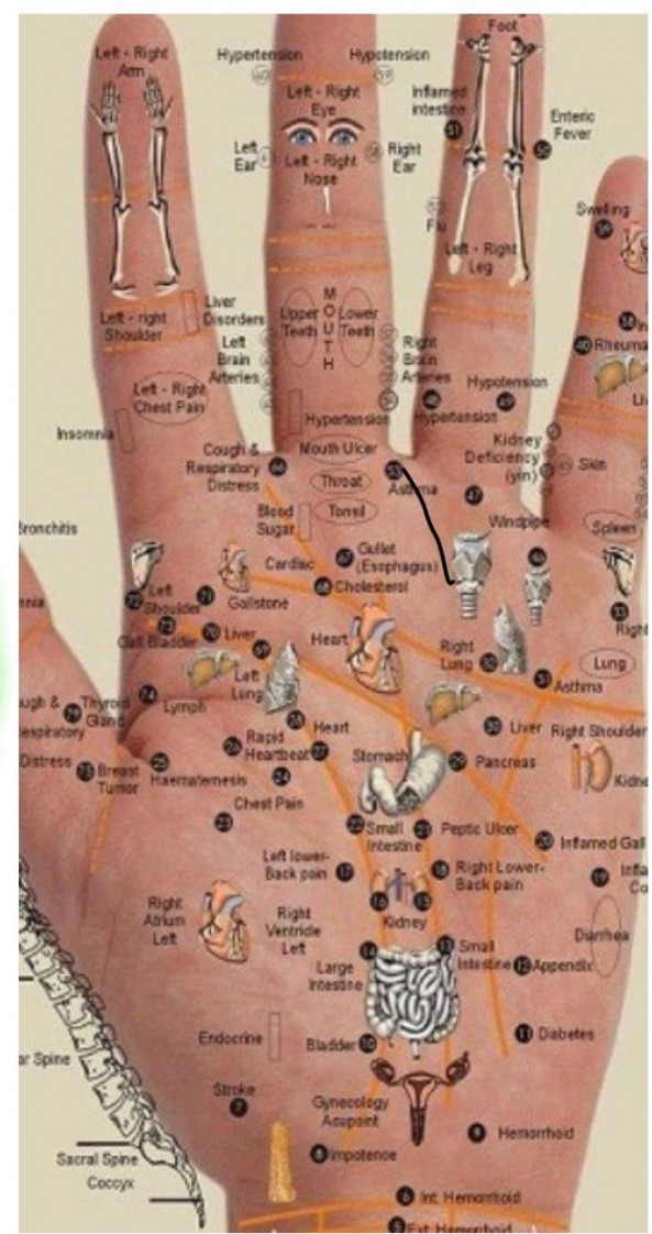 Gesudheit - Another!  Hand reflexology, Acupressure points for