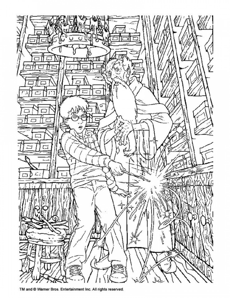 HARRY POTTER coloring pages - Albus Dumbledore and Harry Potter