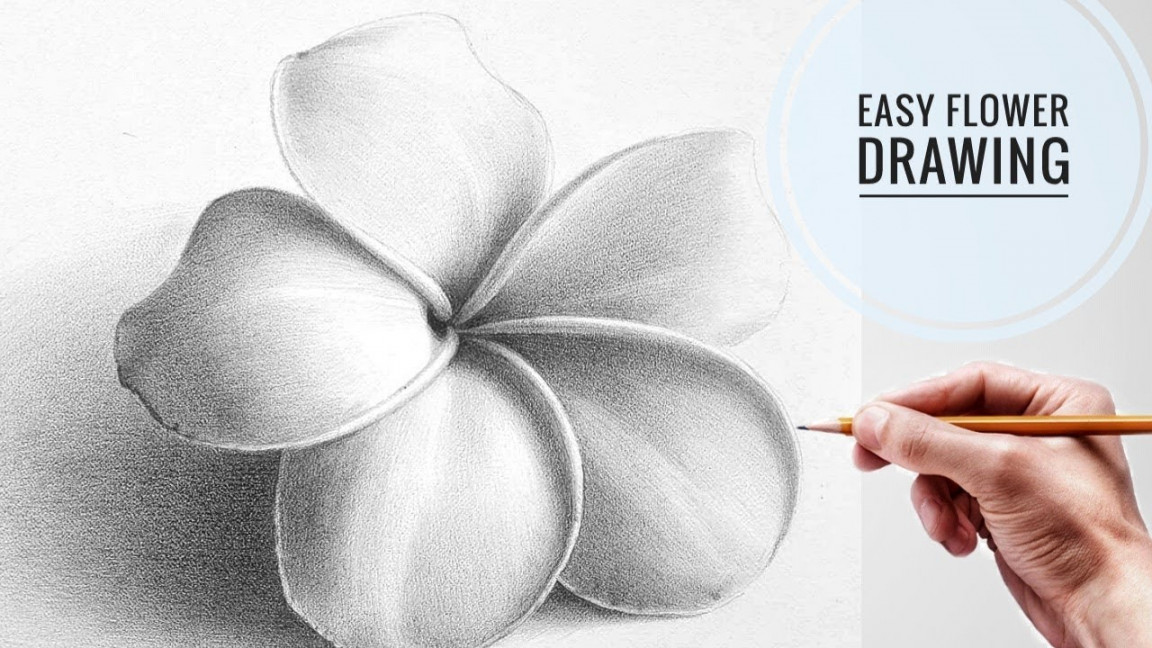 How to draw a flower, with pencil  step by step  easily for kids and  bigginers.