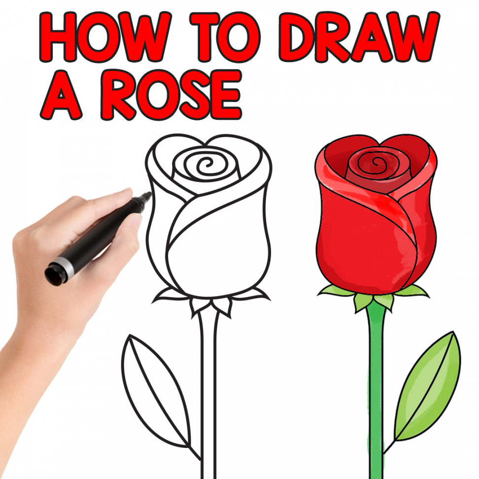 How to Draw a Rose - Easy Step by Step For Beginners and Kids