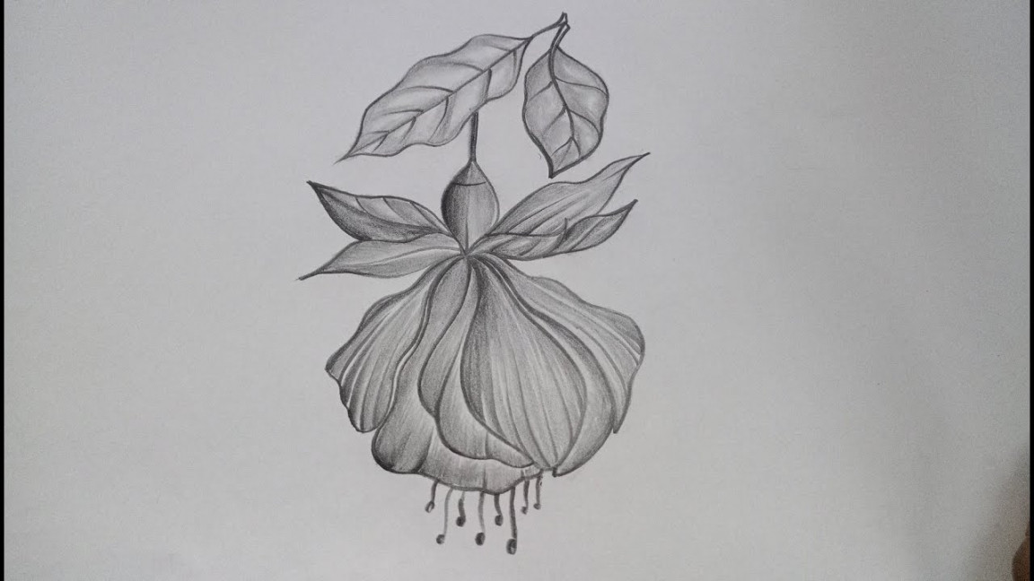 How to draw #Hanging flower easy@velsartclasses