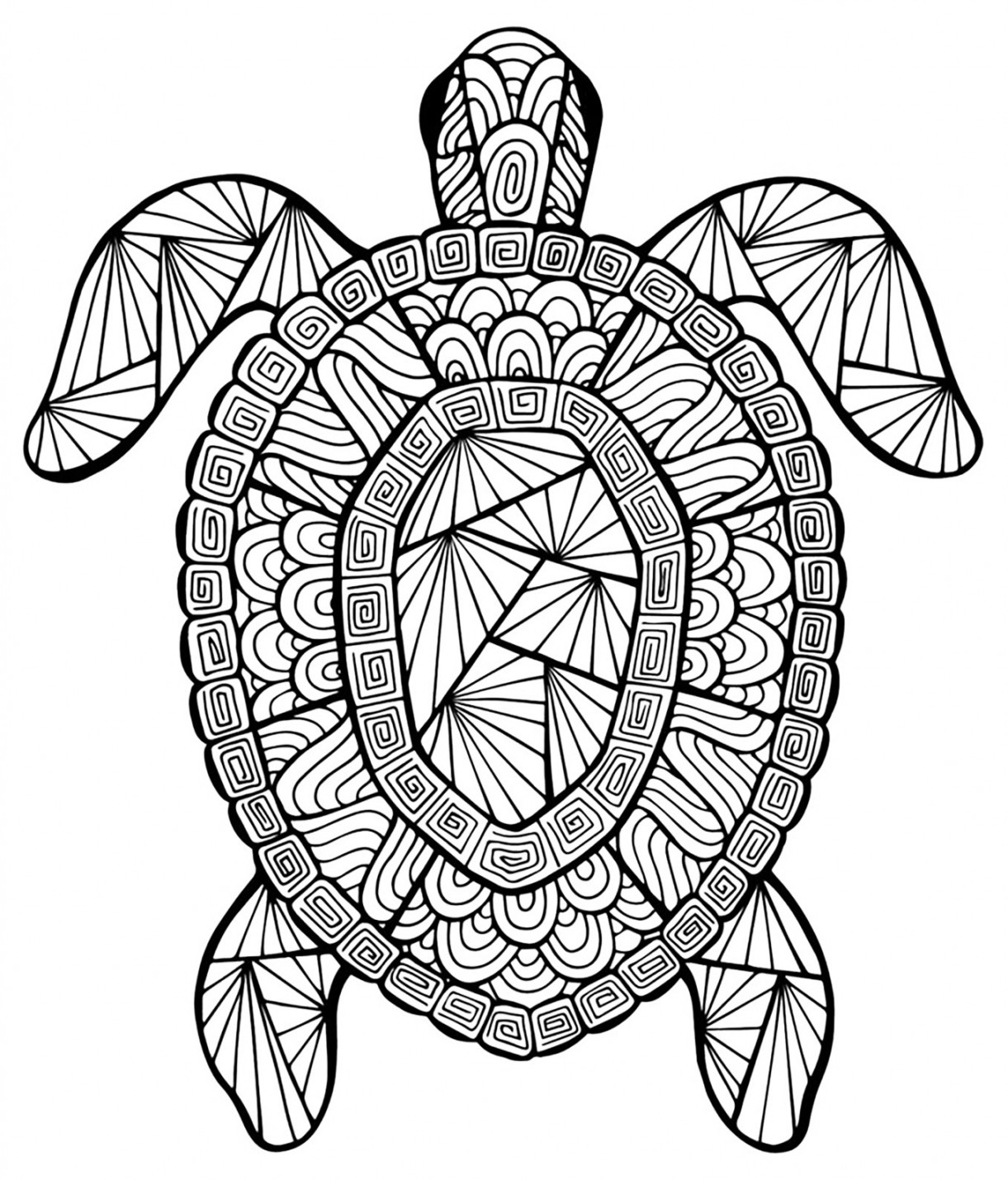 Incredible turtle - Turtles & Tortoises Adult Coloring Pages