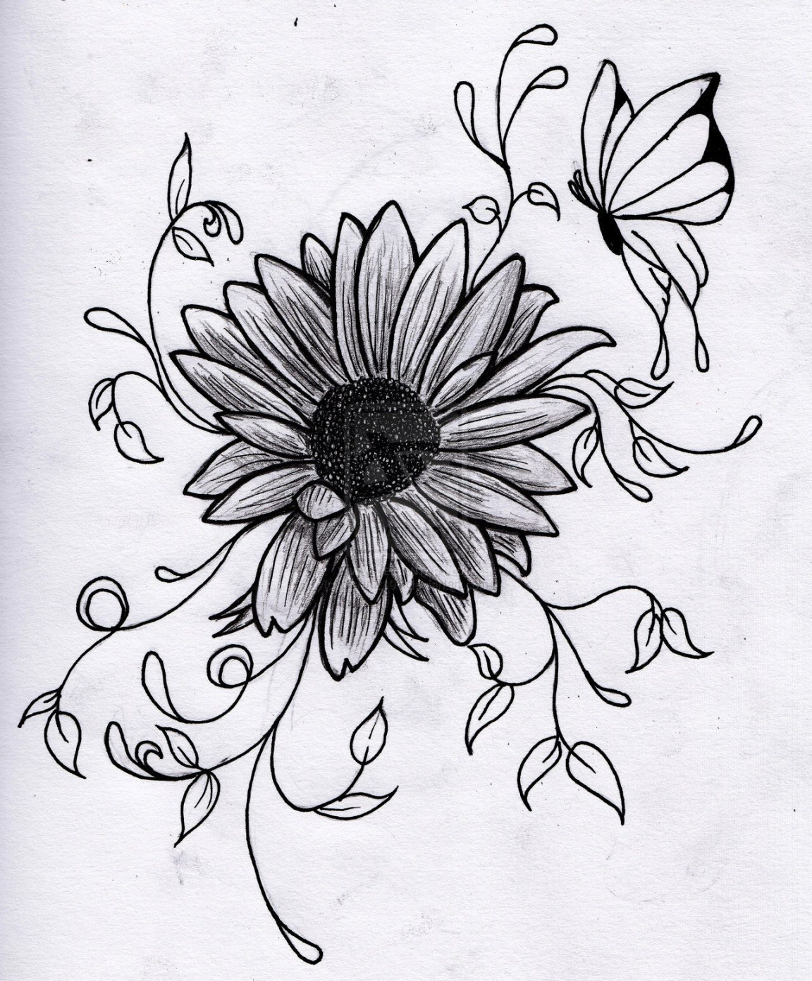 kristas flower drawing by green on deviantART  Flower drawing