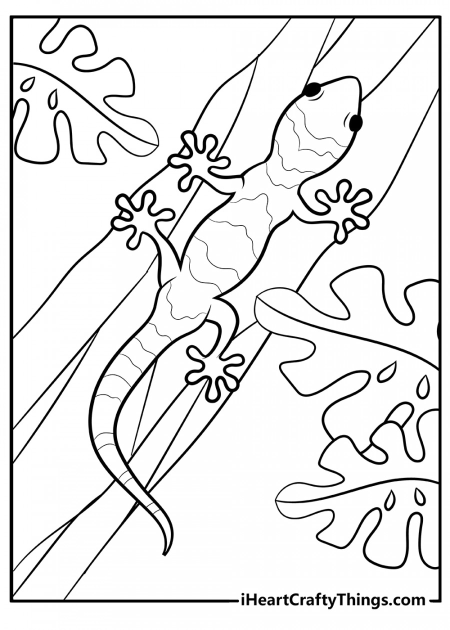 Lizard Coloring Pages (% Free Printables)