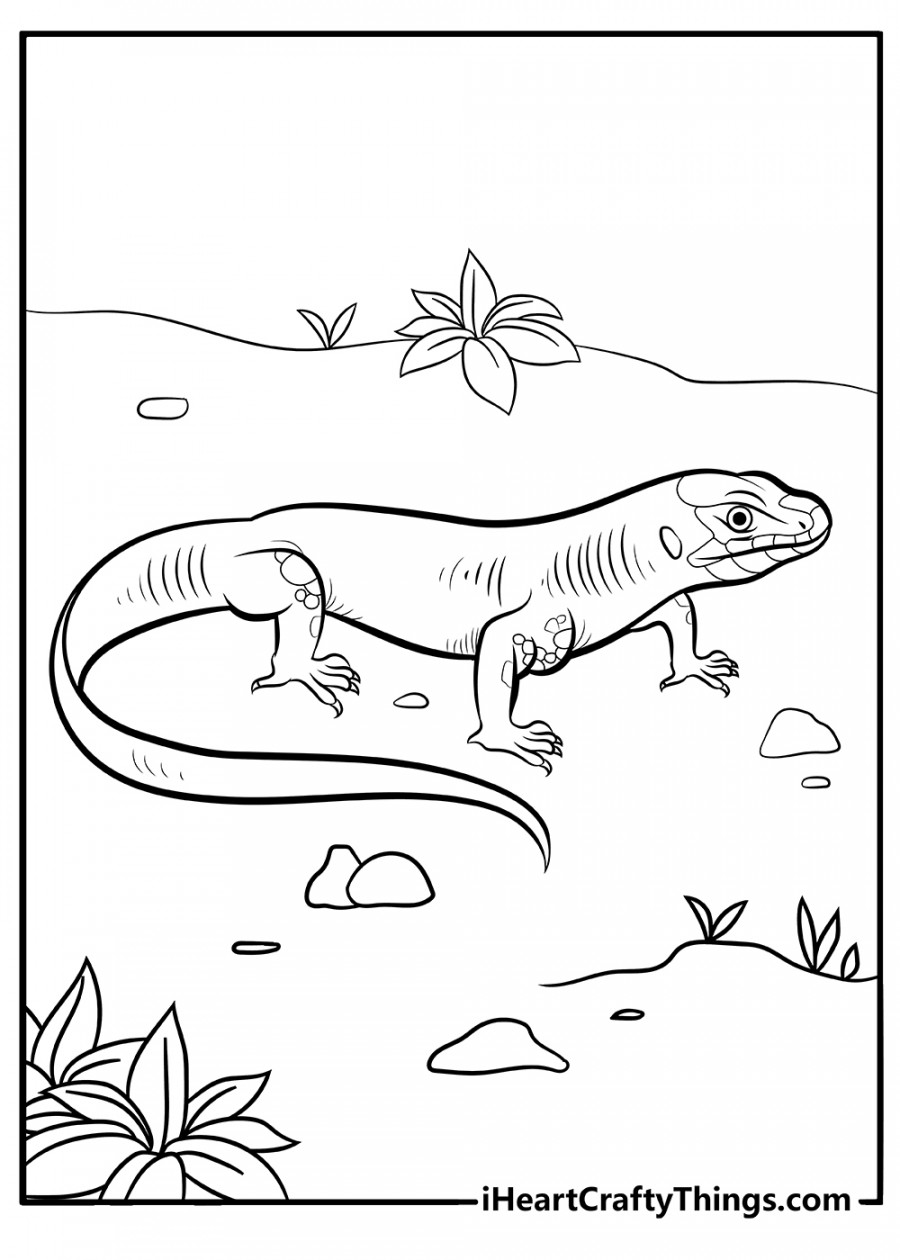 Lizard Coloring Pages (% Free Printables)