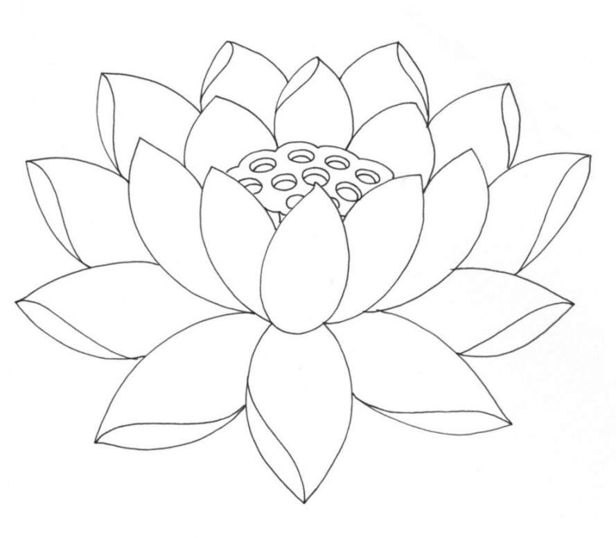 Lotus Flower Coloring Pages Printable  Lotus flower drawing