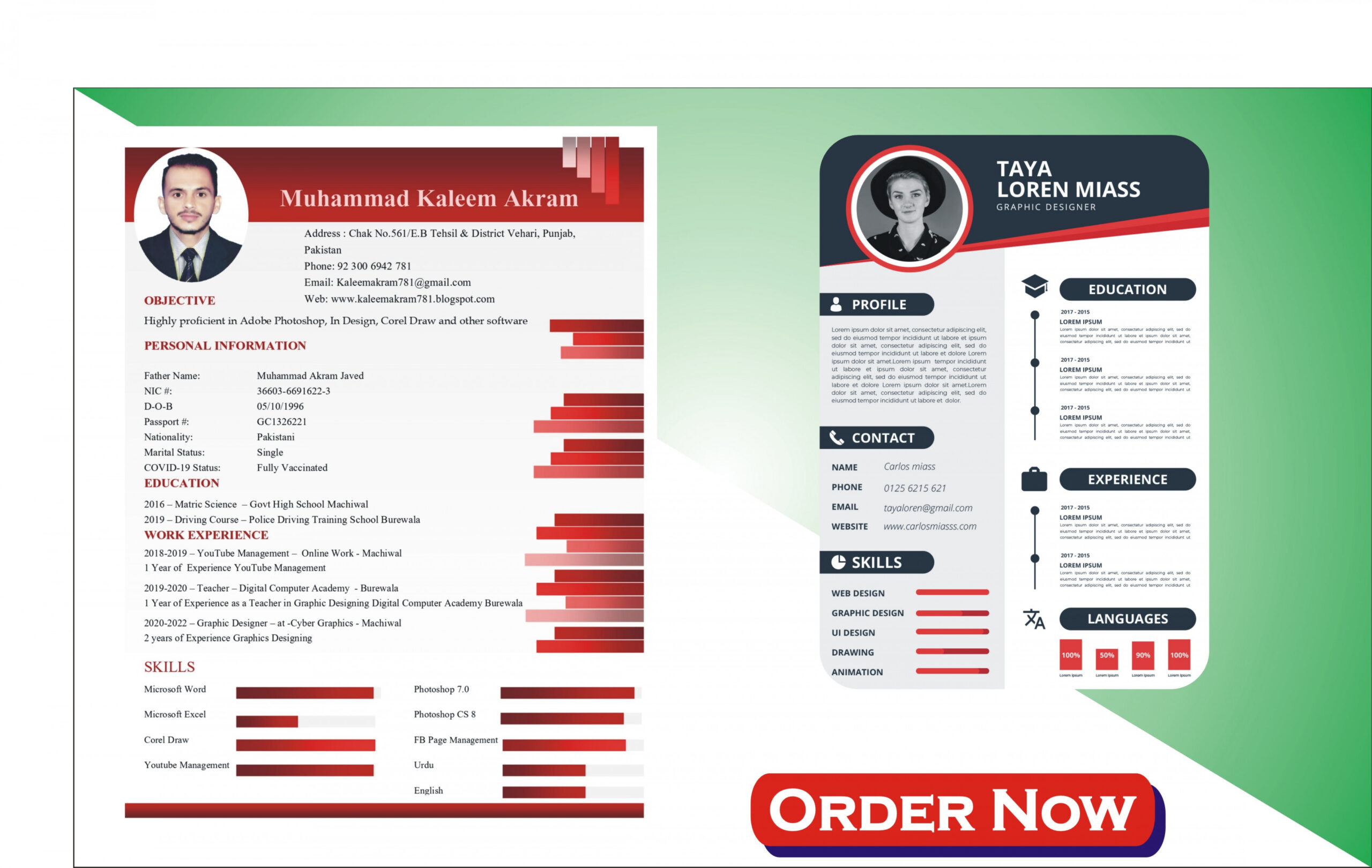 make resume design,resume template,cv writing,cv design,resume editing