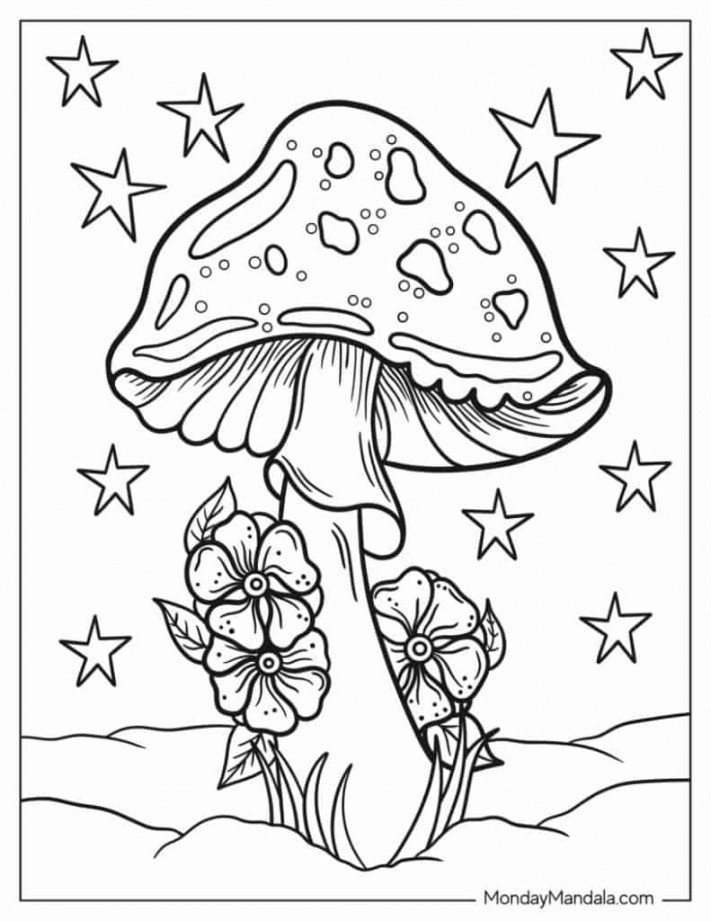 Mushroom Coloring Pages (Free PDF Printables)