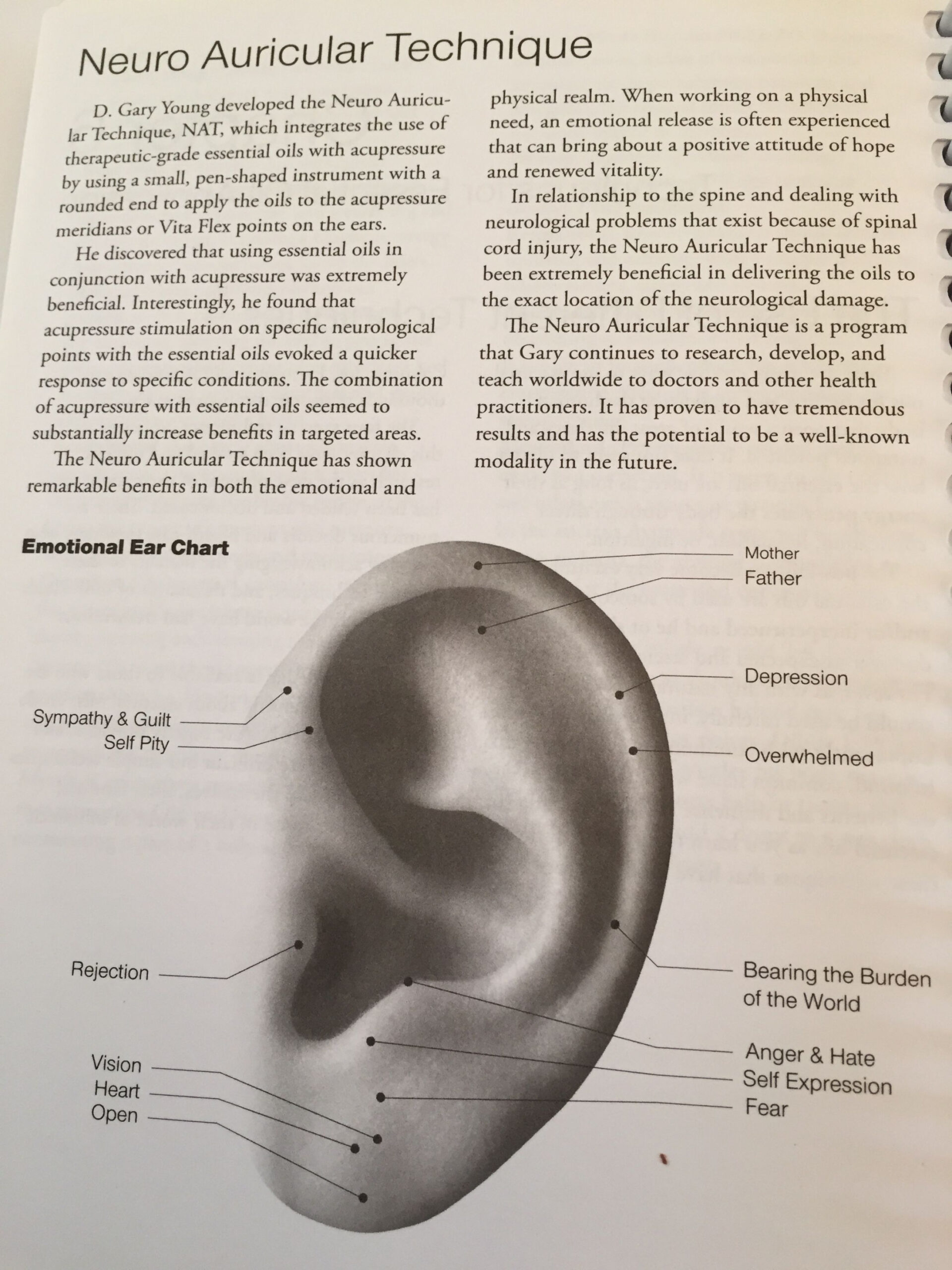 Neuro Auricular Technique NAT Emotional Ear Chart  Neuro