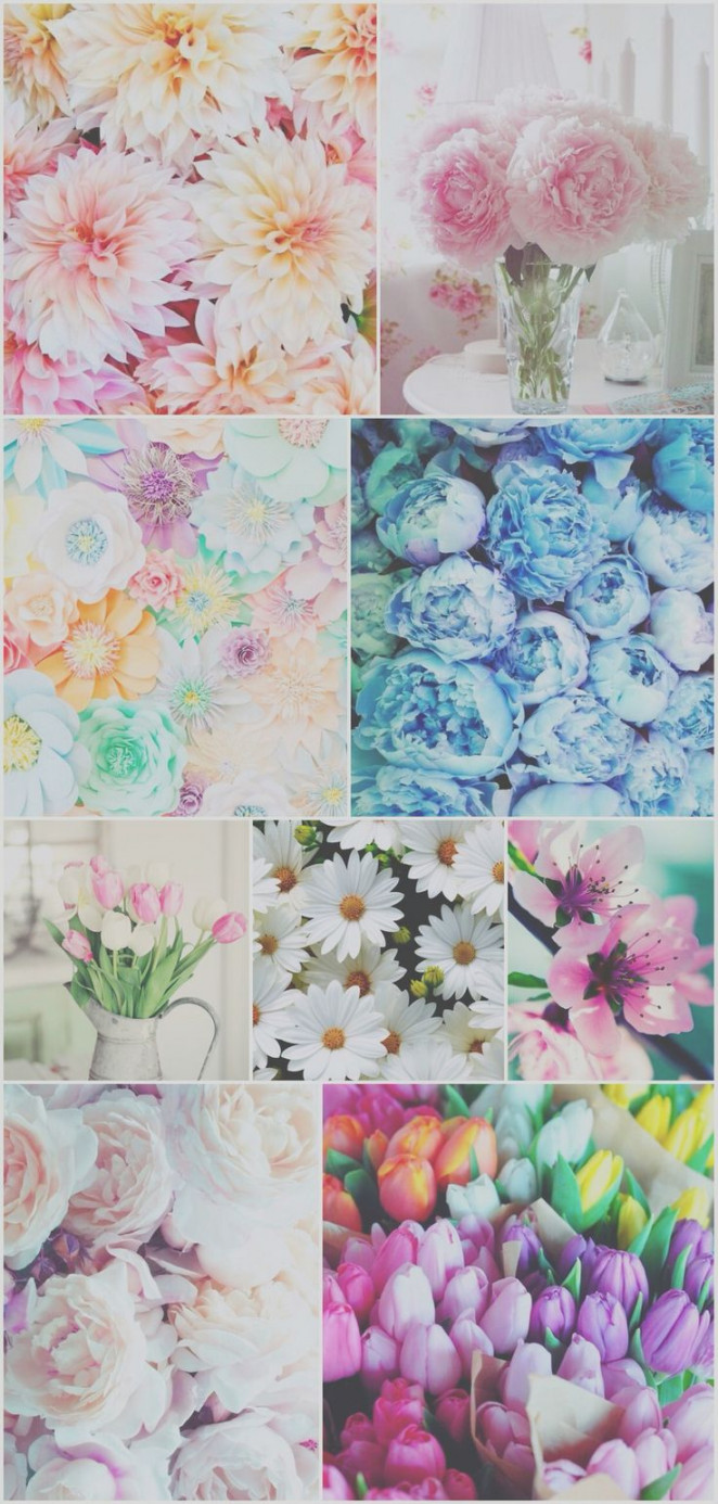 Pin by 🩷🎀🩷ᑭinky🩷🎀🩷 on ❤•Wɑʆʆpɑpɛʀร •❤  Flower wallpaper