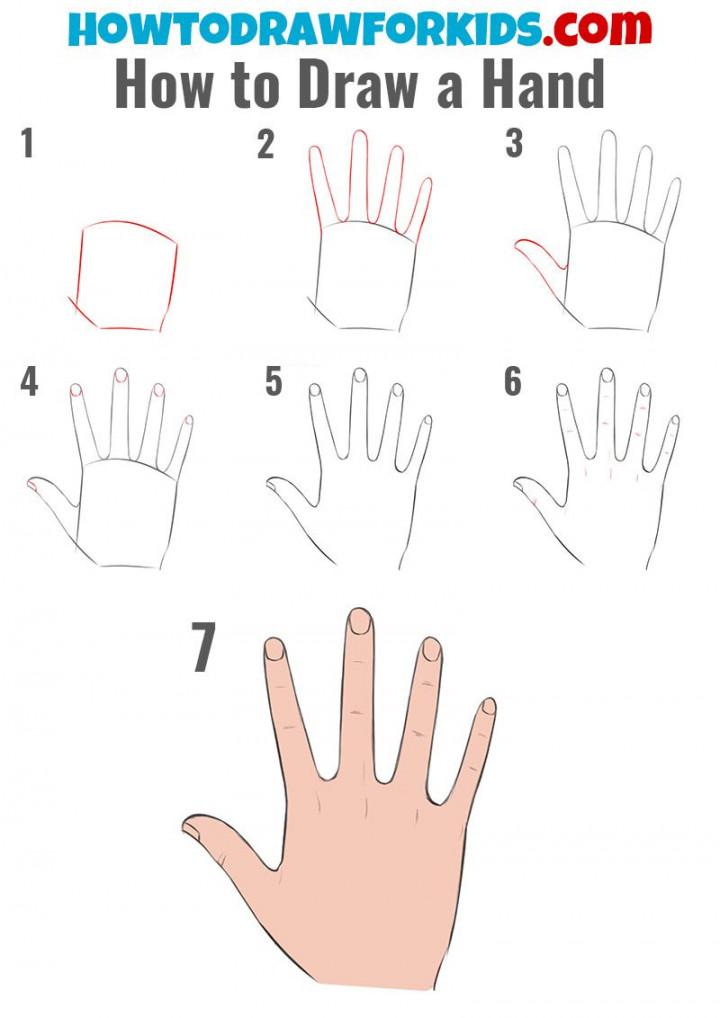 Pin on Basic Drawing Tutorials