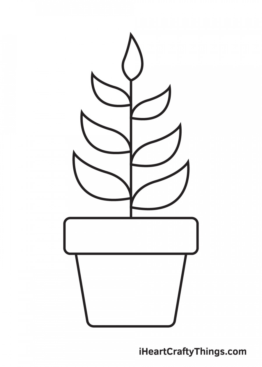 Plant Drawing - How To Draw A Plant Step By Step