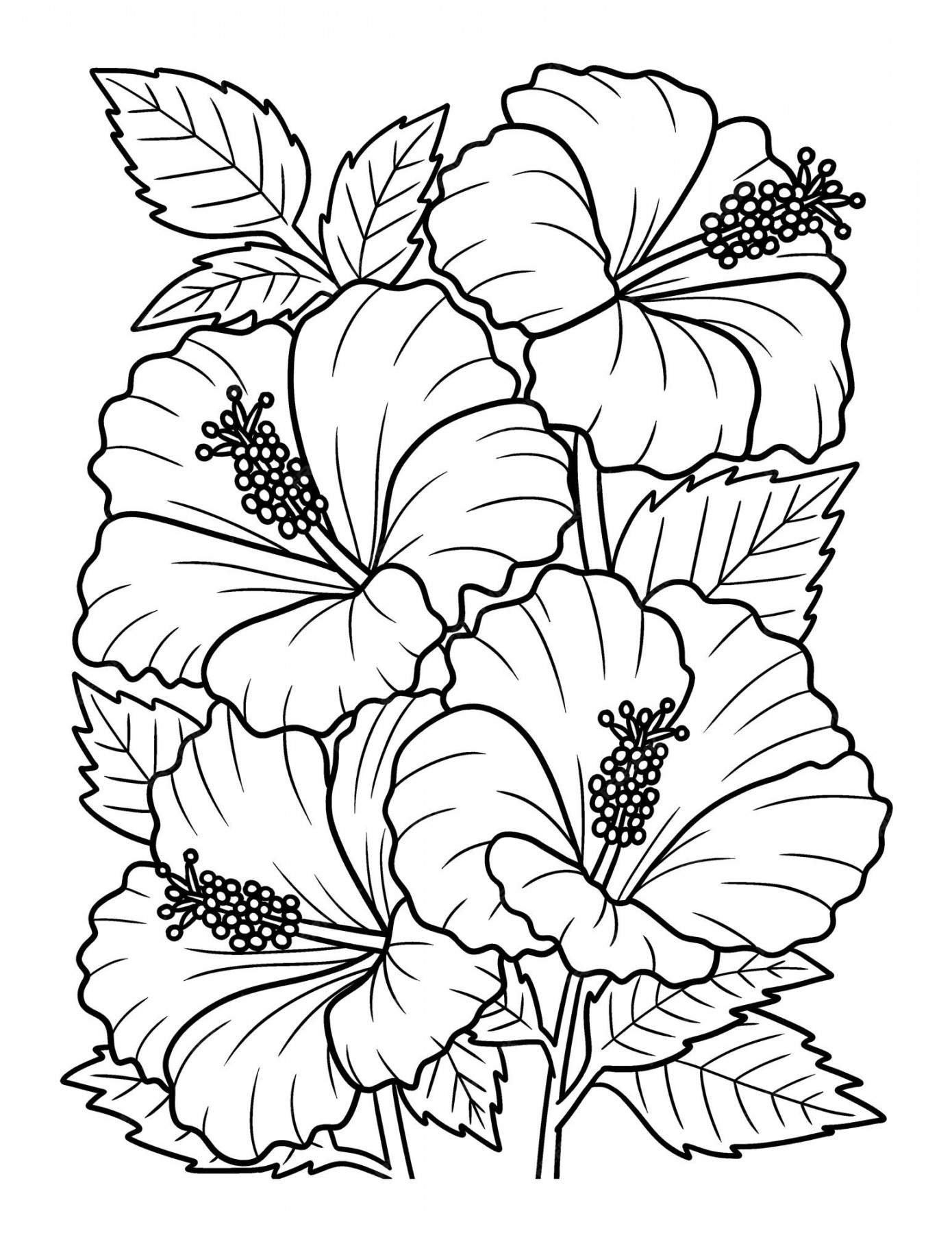 Premium Vector  Hibiscus flower coloring page for adults