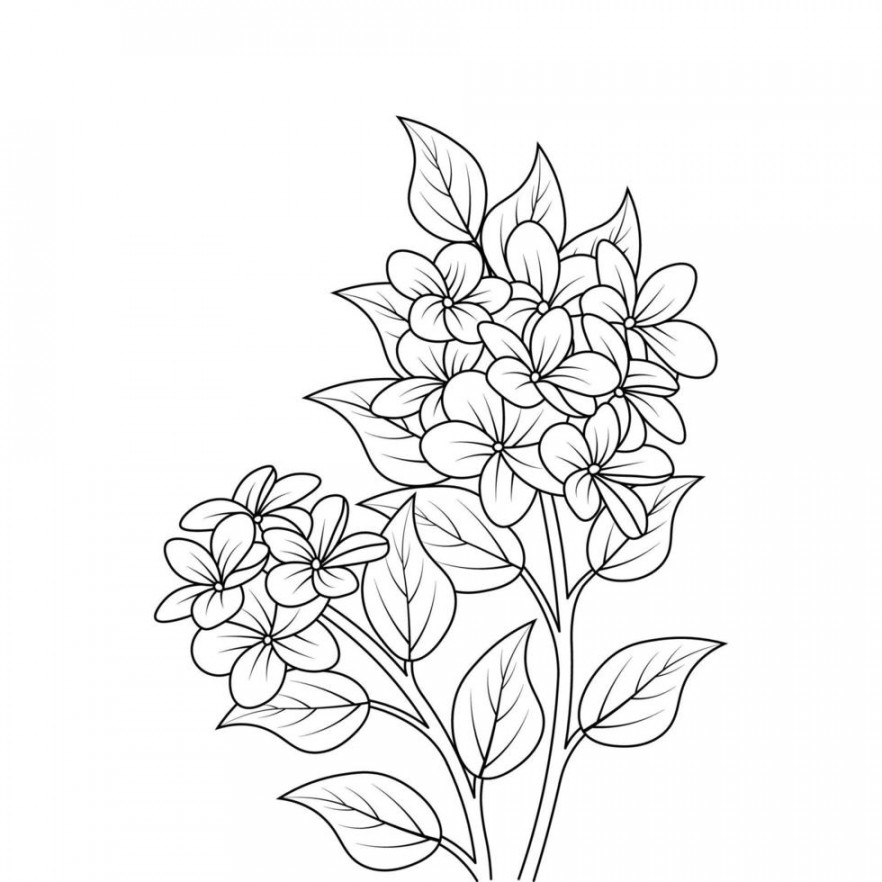 printing element of blooming flower coloring page with black and