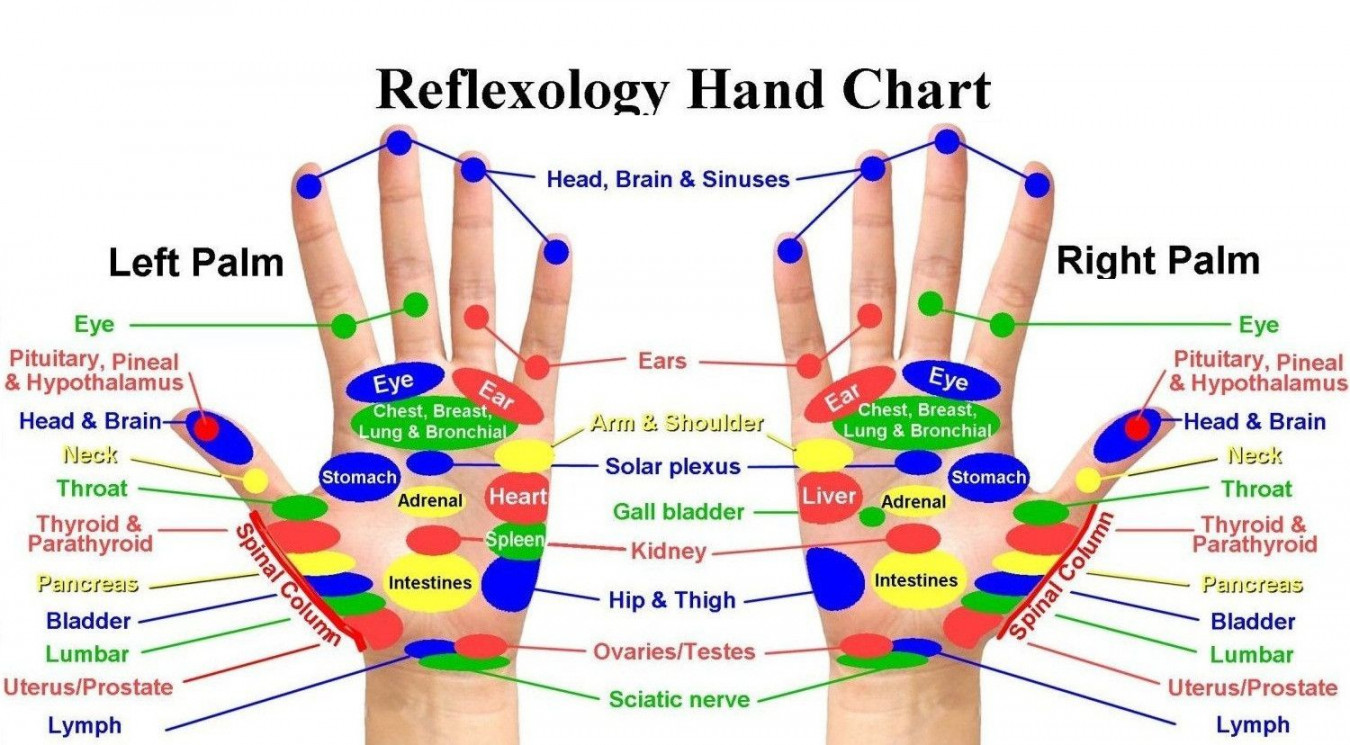 Reflexology Hand Chart  Beauty Express  Reflexology hand chart