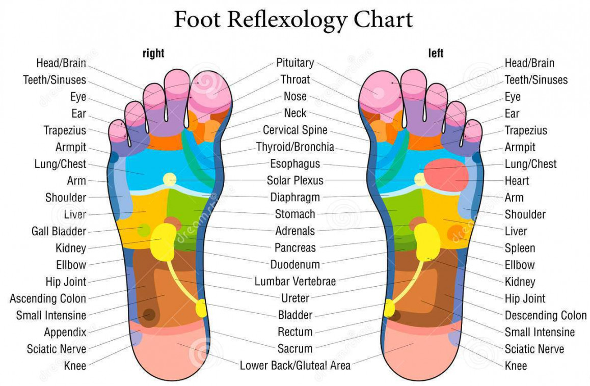 Reflexology - Holistic Massage Therapist in Pontefract