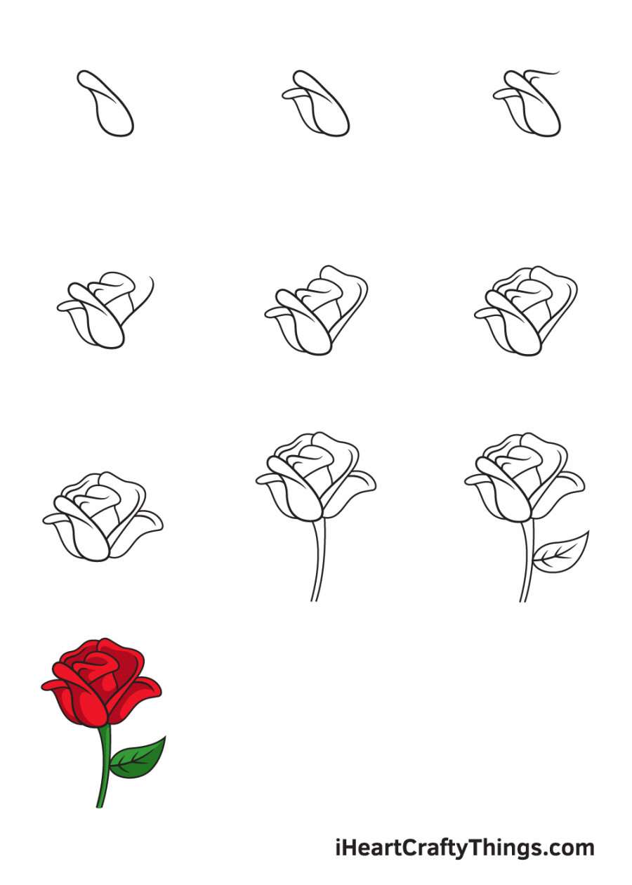 Rose Drawing - How To Draw A Rose Step By Step