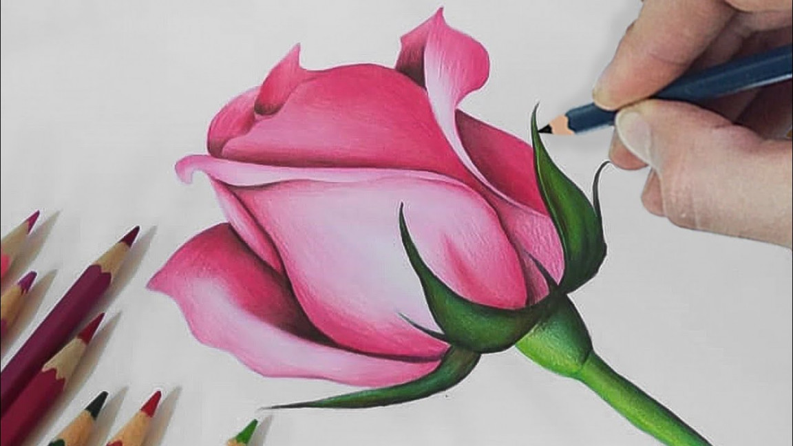 Rose Drawing: How To Draw a ROSE with Colour Pencils! 《Step-By-Step  Tutorial》