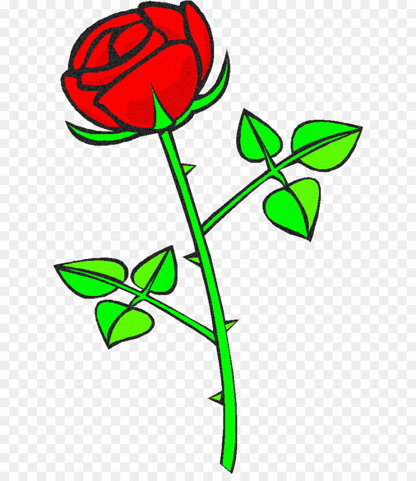 Rose Flower Drawing png download - * - Free Transparent