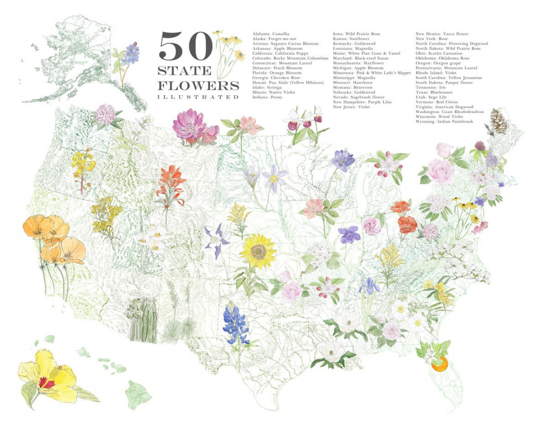 STATE Flowerscape Map Drawing art Print  State Flowers - Etsy UK